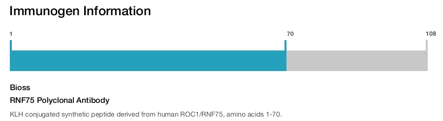 RNF75 Polyclonal Antibody