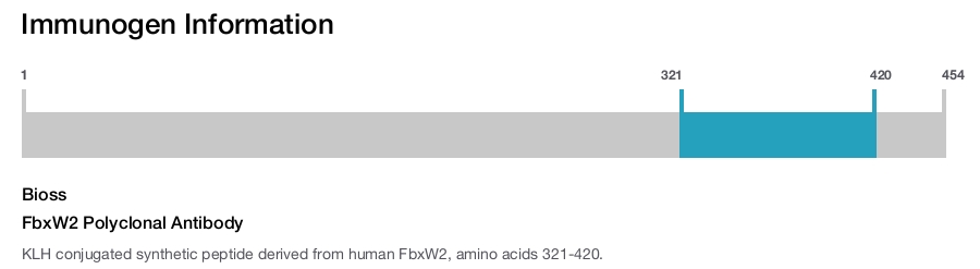 FbxW2 Polyclonal Antibody