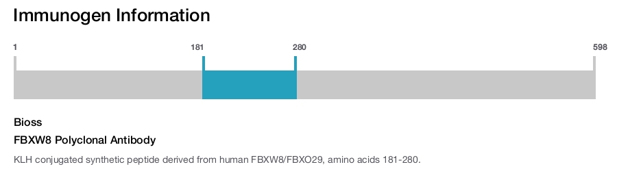 FBXW8 Polyclonal Antibody
