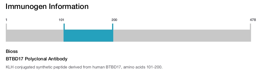 BTBD17 Polyclonal Antibody
