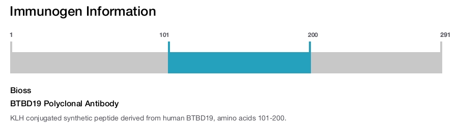 BTBD19 Polyclonal Antibody