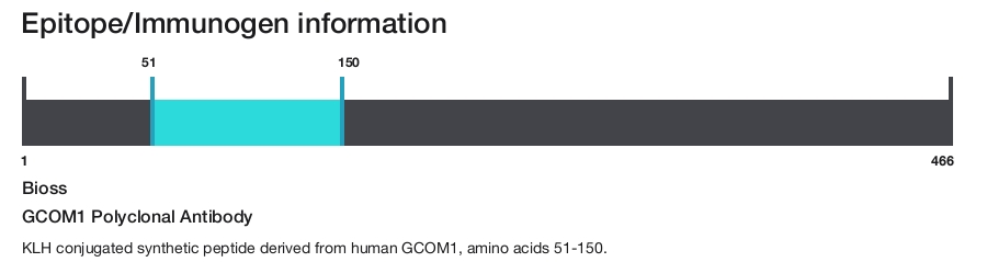 GCOM1 Polyclonal Antibody