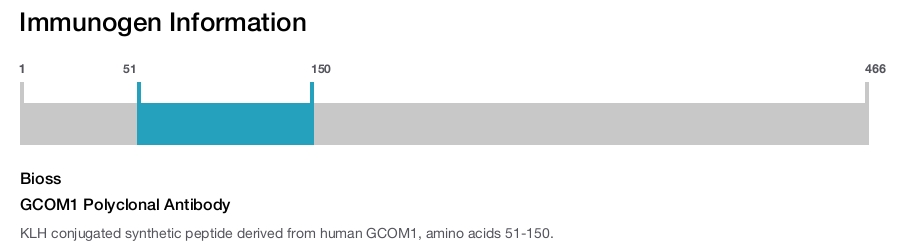 GCOM1 Polyclonal Antibody