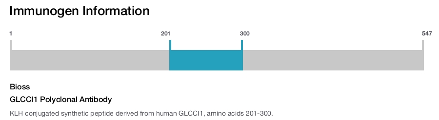 GLCCI1 Polyclonal Antibody