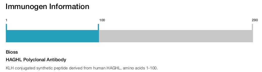 HAGHL Polyclonal Antibody