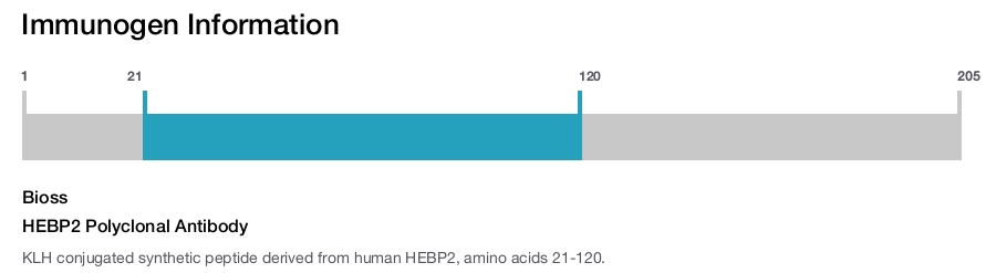 HEBP2 Polyclonal Antibody