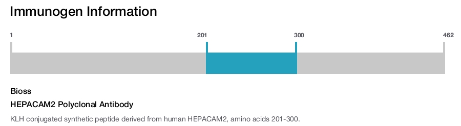HEPACAM2 Polyclonal Antibody