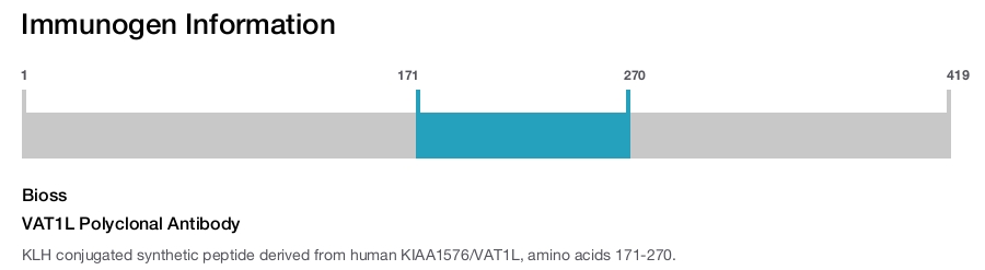 VAT1L Polyclonal Antibody