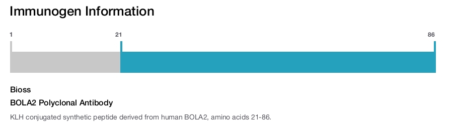 BOLA2 Polyclonal Antibody