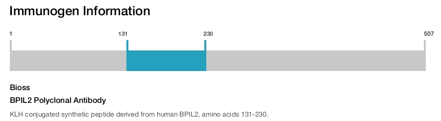 BPIL2 Polyclonal Antibody