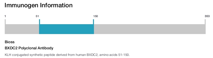 BXDC2 Polyclonal Antibody