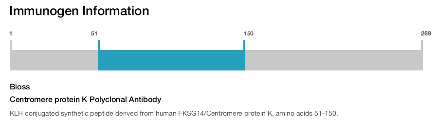 Centromere protein K Polyclonal Antibody