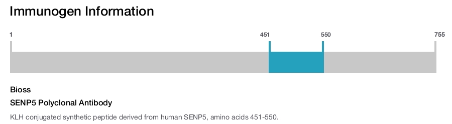SENP5 Polyclonal Antibody