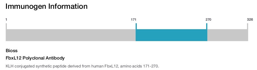 FbxL12 Polyclonal Antibody