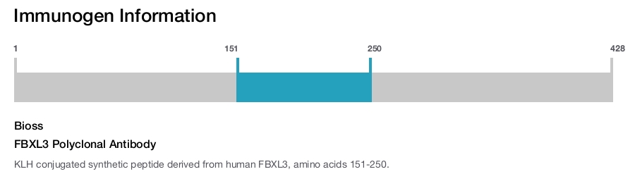 FBXL3 Polyclonal Antibody