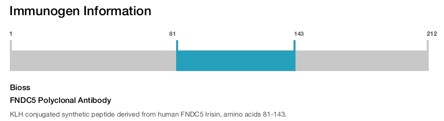 FNDC5 Polyclonal Antibody