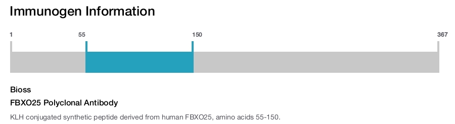 FBXO25 Polyclonal Antibody