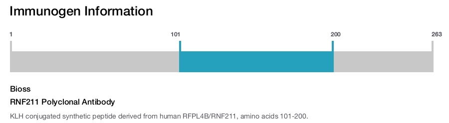 RNF211 Polyclonal Antibody