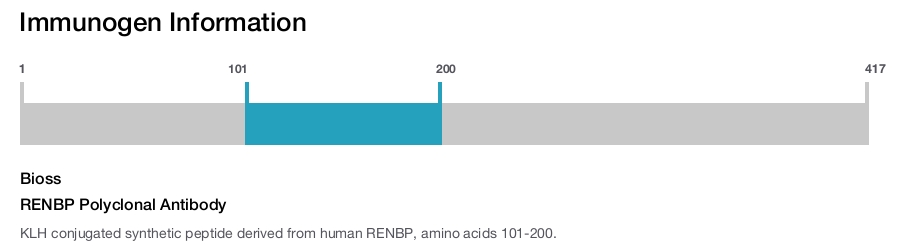 RENBP Polyclonal Antibody