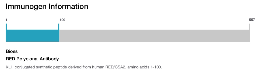 RED Polyclonal Antibody