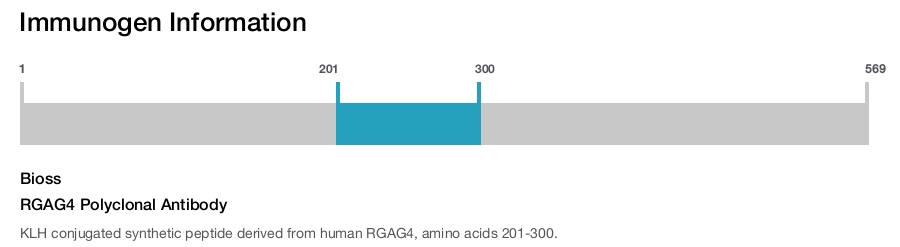 RGAG4 Polyclonal Antibody