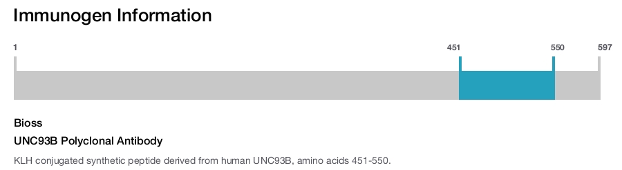 UNC93B Polyclonal Antibody