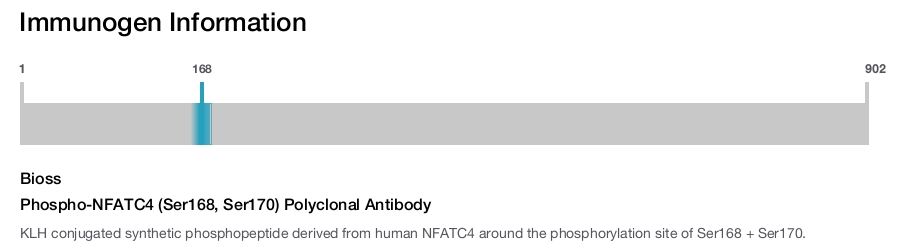 Phospho-NFATC4 (Ser168, Ser170) Polyclonal Antibody