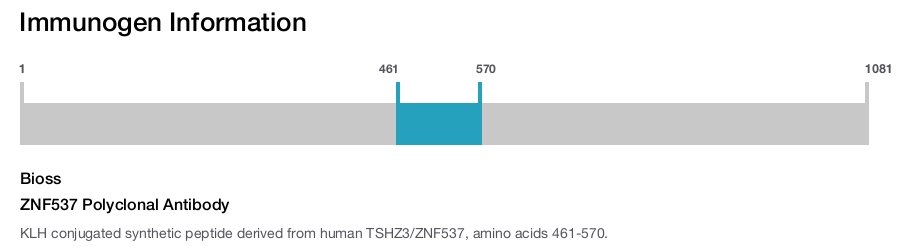 ZNF537 Polyclonal Antibody