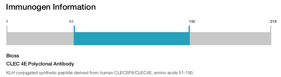 CLEC 4E Polyclonal Antibody