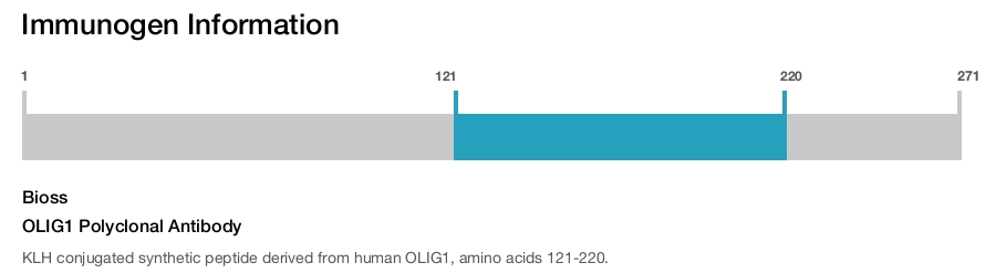 OLIG1 Polyclonal Antibody