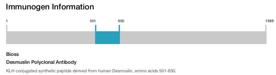 Desmuslin Polyclonal Antibody
