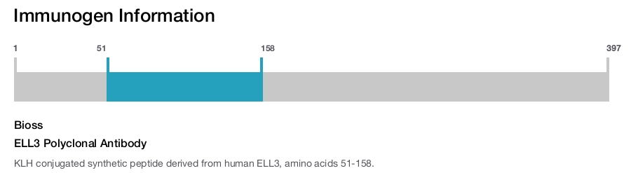 ELL3 Polyclonal Antibody
