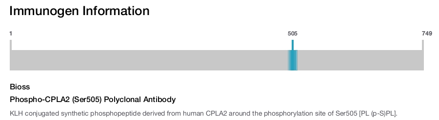 Phospho-CPLA2 (Ser505) Polyclonal Antibody