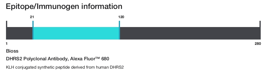 DHRS2 Polyclonal Antibody, Alexa Fluor&trade; 680