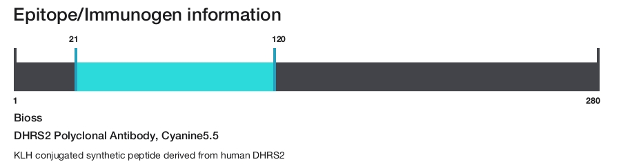 DHRS2 Polyclonal Antibody, Cyanine5.5