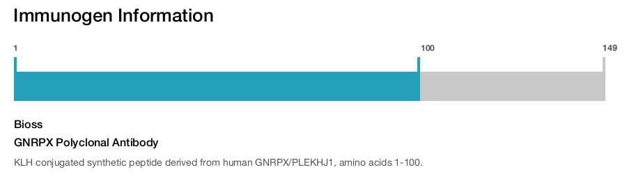 GNRPX Polyclonal Antibody