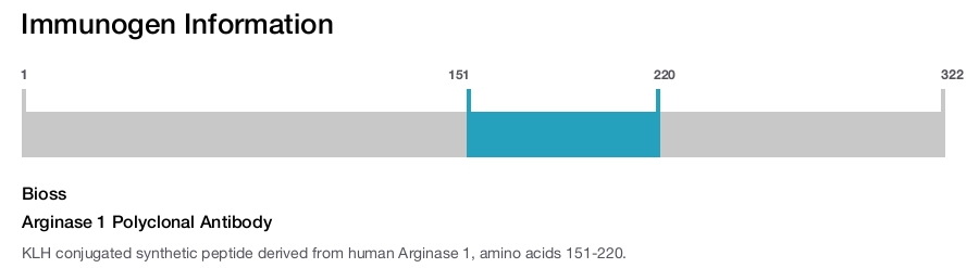 Arginase 1 Polyclonal Antibody