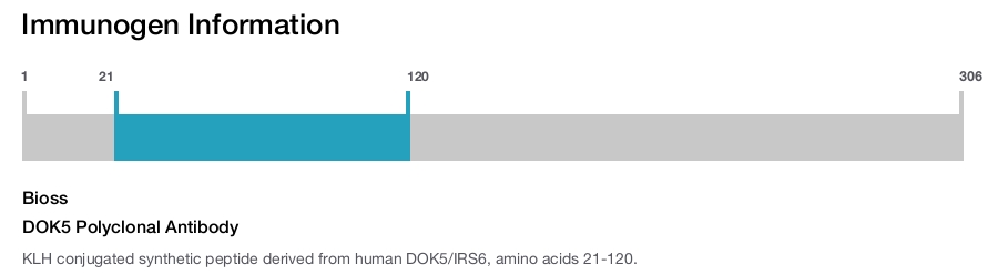 DOK5 Polyclonal Antibody