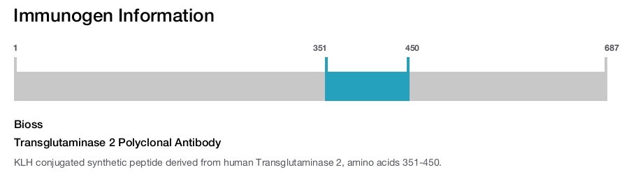 Transglutaminase 2 Polyclonal Antibody