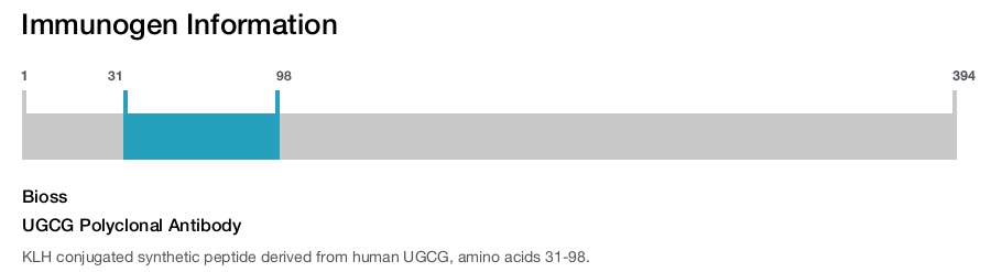UGCG Polyclonal Antibody