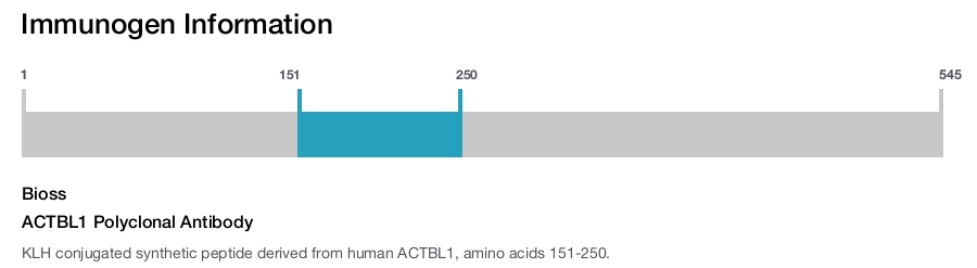 ACTBL1 Polyclonal Antibody