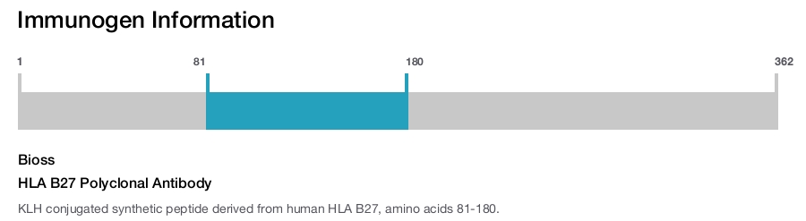 HLA B27 Polyclonal Antibody