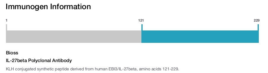 IL-27beta Polyclonal Antibody