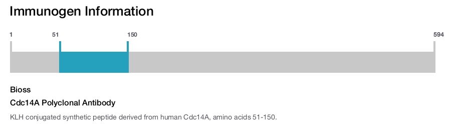 Cdc14A Polyclonal Antibody