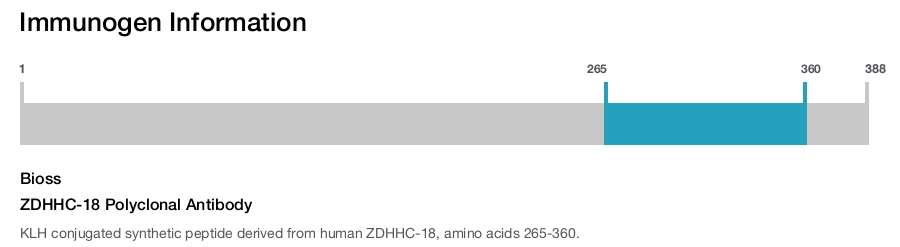 ZDHHC-18 Polyclonal Antibody