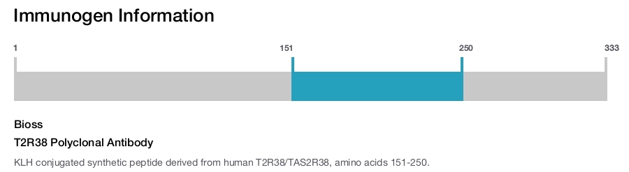 T2R38 Polyclonal Antibody