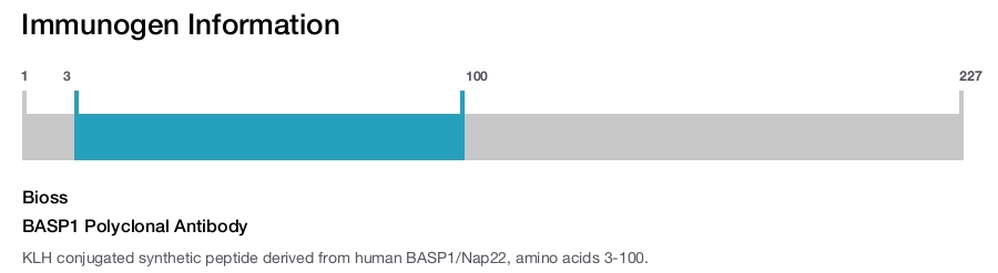 BASP1 Polyclonal Antibody