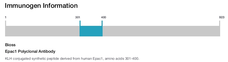 Epac1 Polyclonal Antibody