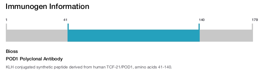 POD1 Polyclonal Antibody