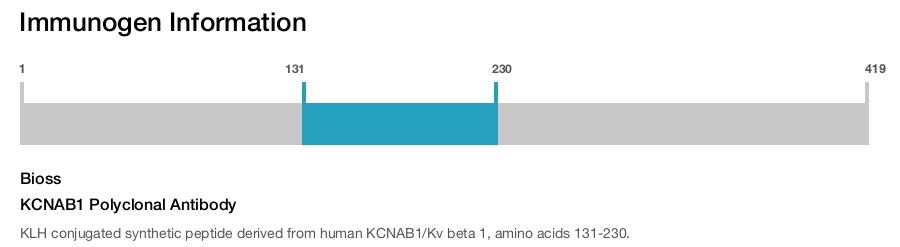 KCNAB1 Polyclonal Antibody